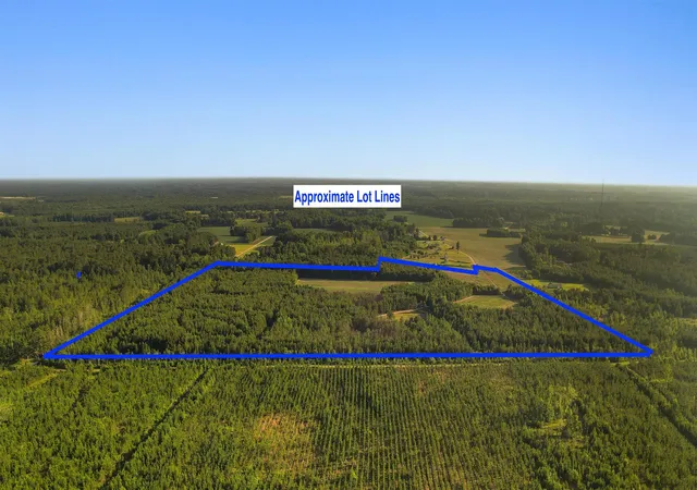 Homes for sale in Johnsonville, SC | 77 Acres   Tbd Bert Hanna Rd, Johnsonville, SC 29555 | MLS# 2615213