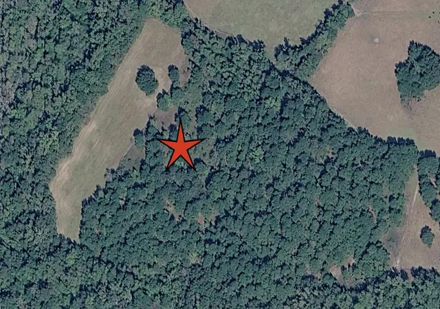 3rd image of Tbd Not Specified, Marion, SC 29574 | MLS# 2615223