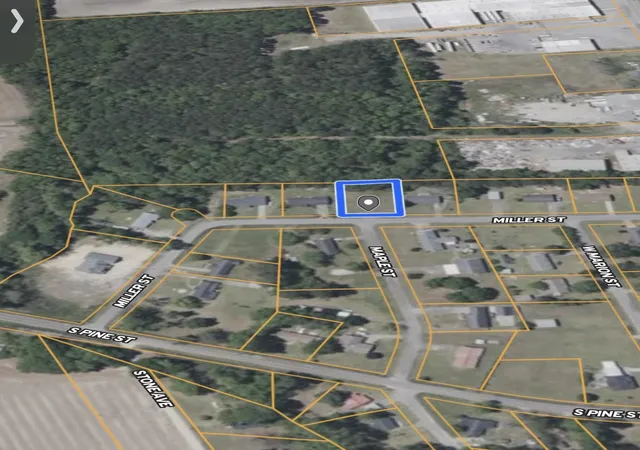 Homes for sale in Johnsonville, SC | Tbd Miller St, Johnsonville, SC 29555 | MLS# 2615245