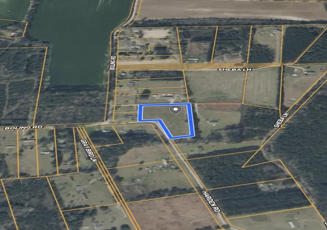 Homes for sale in Pamplico, SC | Tbd Harden Rd, Pamplico, SC 29583 | MLS# 2615247