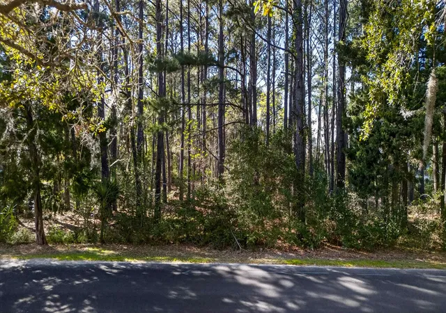 3rd image of Lot 18 Luvan Blvd, Georgetown, SC 29440 | MLS# 2615256