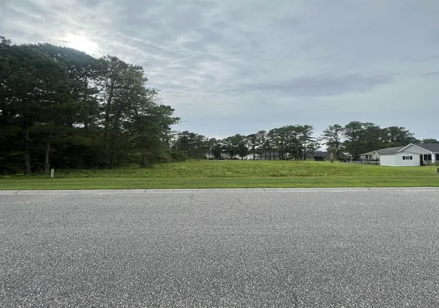 Homes for sale in Loris, SC | Tbd Long Meadow Dr, Loris, SC 29569 | MLS# 2615370