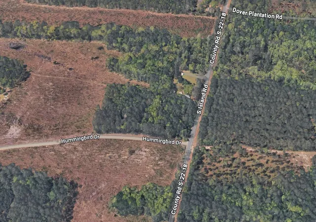 Homes for sale in Georgetown, SC | Tbd Hummingbird Dr, Georgetown, SC 29440 | MLS# 2615424