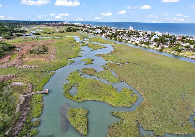 Homes for sale in Pawleys Island, SC | 88 Salt Marsh Circle, Pawleys Island, SC 29585 | Houzeo