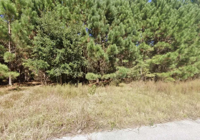 4th image of 442 Pembroke Blvd, Johnsonville, SC 29555 | MLS# 2615571