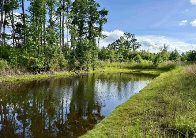1st image of 85± Acres   Muddy Creek Rd, Johnsonville, SC 29555 | MLS# 2615582
