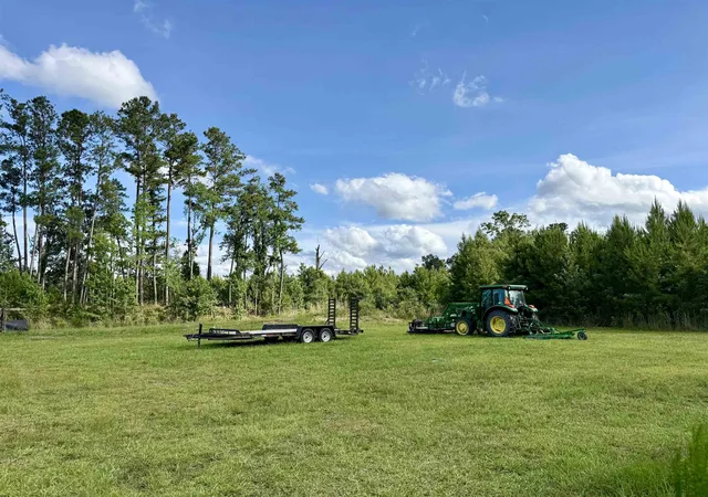 2nd image of 85± Acres   Muddy Creek Rd, Johnsonville, SC 29555 | MLS# 2615582