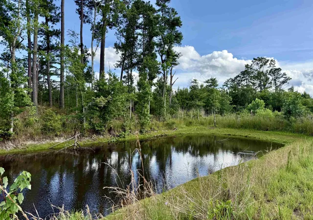 3rd image of 85± Acres - Muddy Creek Rd, Johnsonville, SC 29555 | MLS# 2615582