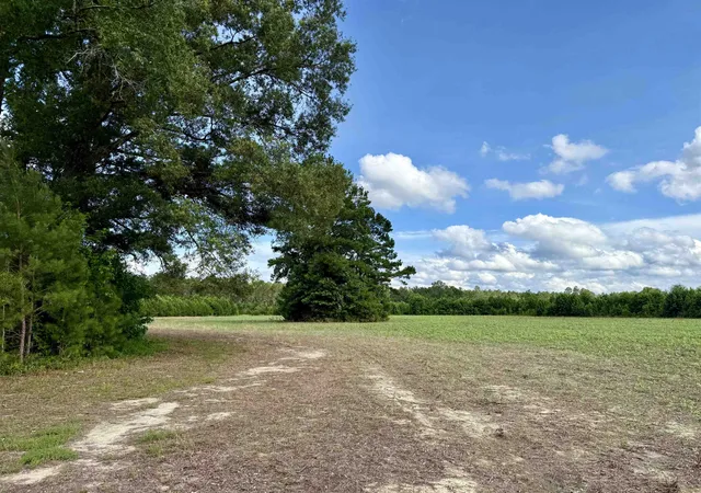 5th image of 85± Acres - Muddy Creek Rd, Johnsonville, SC 29555 | MLS# 2615582