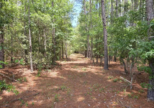 Homes for sale in Nichols, SC | 3435 Hwy 430, Nichols, SC 29581 | MLS# 2615616