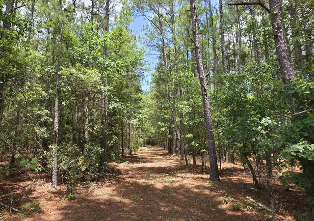 Homes for sale in Nichols, SC | 3435 Hwy 430, Nichols, SC 29581 | MLS# 2615616