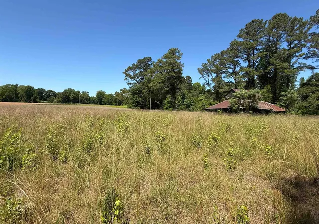 Homes for sale in Green Sea, SC | Tbd Mitchell Sea Rd, Green Sea, SC 29545 | MLS# 2615635