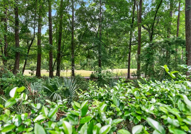 Photo 5 of Single family home for sale at 41 Redwing Ct, Pawleys Island, SC 29585 | MLS# 2615745 | Listing updated on 2026-07-30