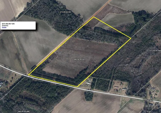 Homes for sale in Lake View, SC | Tbd Road 300, Lake View, SC 29563 | MLS# 2615818