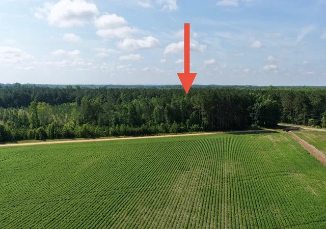 Homes for sale in Lake View, SC | Tbd Road 300, Lake View, SC 29563 | MLS# 2615818