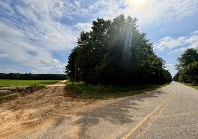 Homes for sale in Lake View, SC | Tbd Road 300, Lake View, SC 29563 | MLS# 2615818