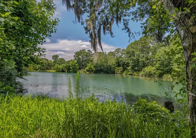 Homes for sale in Pawleys Island, SC | 58 Beaver Pond Loop, Pawleys Island, SC 29585 | MLS# 2615888