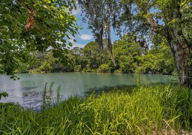Homes for sale in Pawleys Island, SC | 58 Beaver Pond Loop, Pawleys Island, SC 29585 | MLS# 2615888