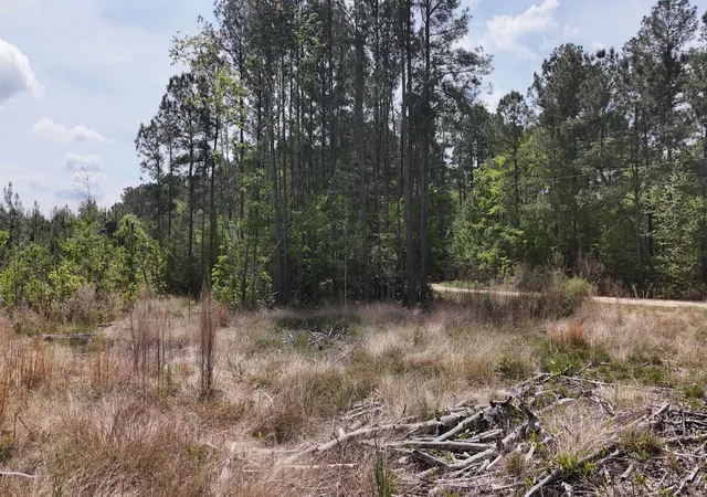 3rd image of Tbd Hope Ct, Gresham, SC 29546 | MLS# 2615976