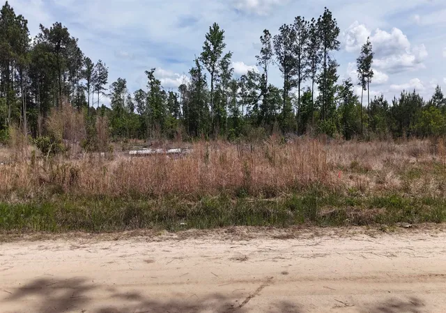 4th image of Tbd Hope Ct, Gresham, SC 29546 | MLS# 2615976