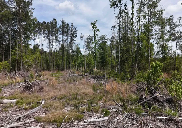5th image of Tbd Hope Ct, Gresham, SC 29546 | MLS# 2615976