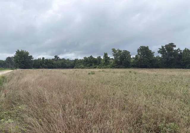 Land for sale at Tbd Coney Dr, Longs, SC 29568 | MLS# 2615990