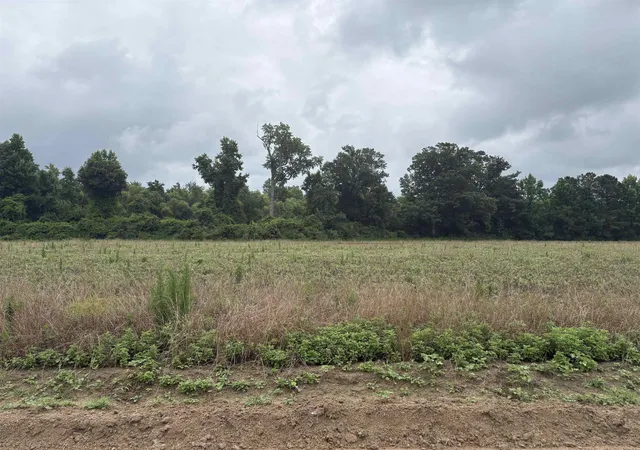 Photo 1 of Land for sale at Tbd Coney Dr, Longs, SC 29568 | MLS# 2615990 | Listing updated on 2026-06-24