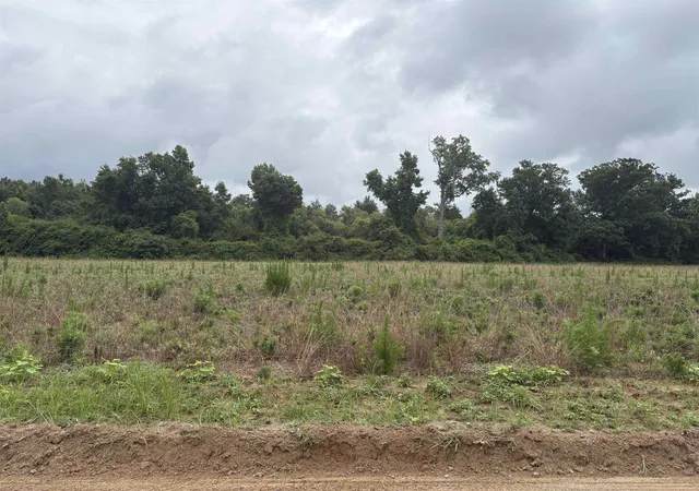 Photo 2 of Land for sale at Tbd Coney Dr, Longs, SC 29568 | MLS# 2615990 | Listing updated on 2026-06-24