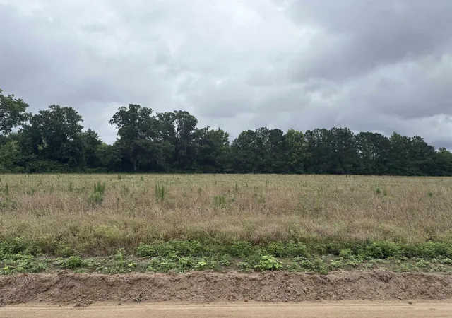 Photo 3 of Land for sale at Tbd Coney Dr, Longs, SC 29568 | MLS# 2615990 | Listing updated on 2026-06-24