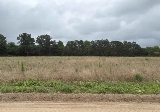 Photo 4 of Land for sale at Tbd Coney Dr, Longs, SC 29568 | MLS# 2615990 | Listing updated on 2026-06-24