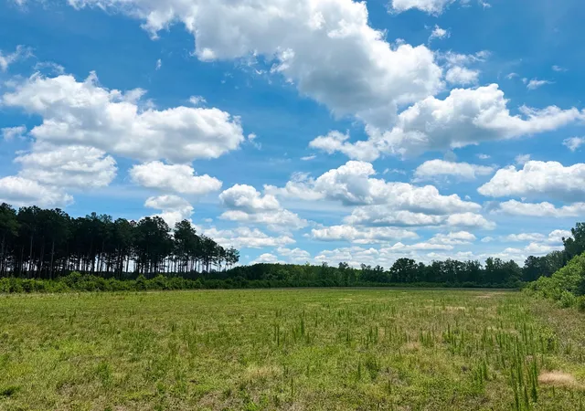 Photo 3 of Land for sale at Tbd Highway 9, Marion, SC 29571 | MLS# 2616018 | Listing updated on 2026-10-06