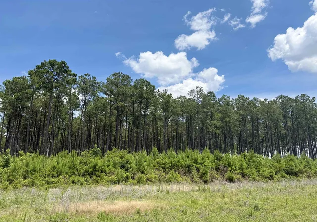 Photo 3 of Land for sale at Tbd Highway 9, Marion, SC 29571 | MLS# 2616018 | Listing updated on 2026-10-06
