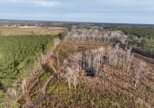 Photo 4 of Land for sale at Tbd Highway 9, Marion, SC 29571 | MLS# 2616018 | Listing updated on 2026-10-06