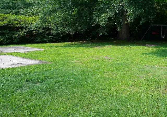 42nd image of 4389 Mcqueen St, Loris, SC 29569 | MLS# 2616111