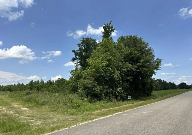 Photo 1 of Land for sale at Tbd Church Rd, Green Sea, SC 29545 | MLS# 2616143 | Listing updated on 2026-08-01
