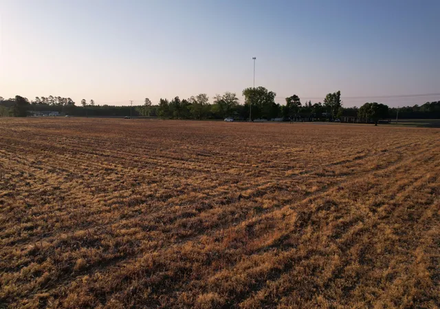 2nd image of Parcel F   Vox Hwy, Johnsonville, SC 29555 | MLS# 2616216
