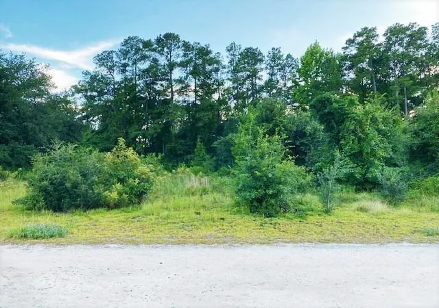 Homes for sale in Dillon, SC | Lot 1 Ivanhoe Pl, Dillon, SC 29536 | MLS# 2616289