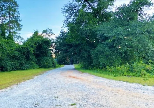 Homes for sale in Dillon, SC | Lot 1 Ivanhoe Pl, Dillon, SC 29536 | MLS# 2616289