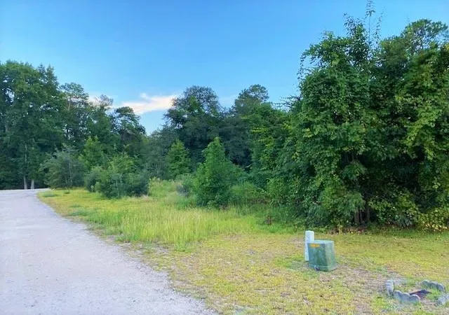 Homes for sale in Dillon, SC | Lot 1 Ivanhoe Pl, Dillon, SC 29536 | MLS# 2616289
