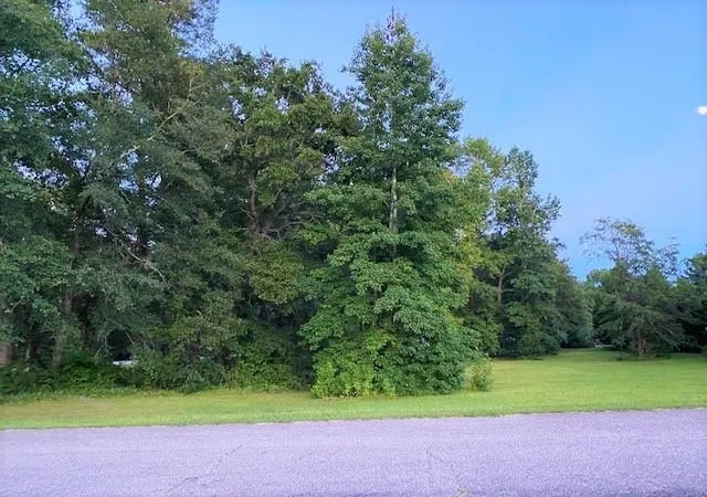 Homes for sale in Dillon, SC | Lot 1 Ivanhoe Pl, Dillon, SC 29536 | MLS# 2616289