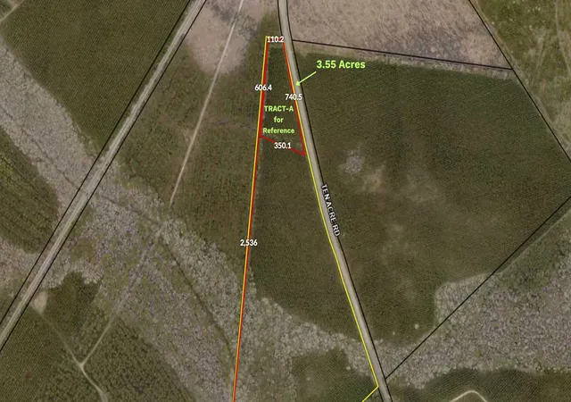 Homes for sale in Andrews, SC | Tract A Ten Acre Rd, Andrews, SC 29510 | MLS# 2616341