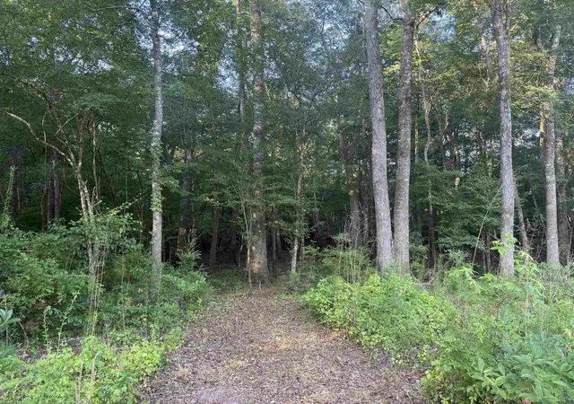 Homes for sale in Andrews, SC | 080 Acres Tbd Cantley Landing Rd, Andrews, SC 29510 | MLS# 2616349