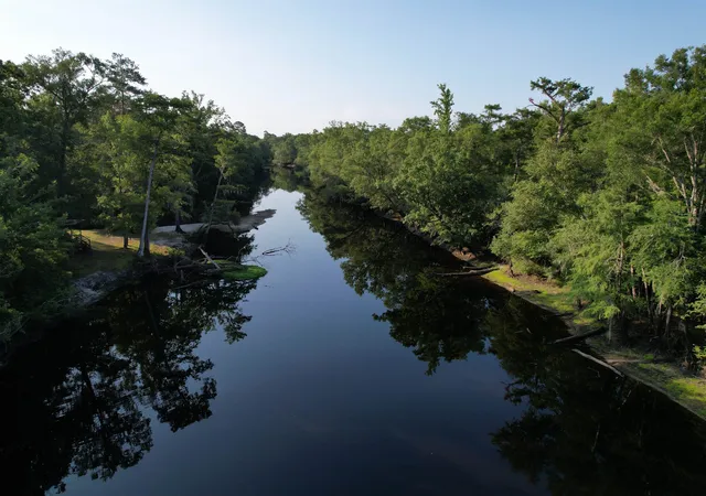 Homes for sale in Andrews, SC | 080 Acres Tbd Cantley Landing Rd, Andrews, SC 29510 | MLS# 2616349