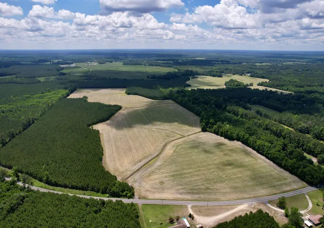 Homes for sale in Andrews, SC | 8303 Acres - Birch Creek Rd, Andrews, SC 29510 | MLS# 2616357