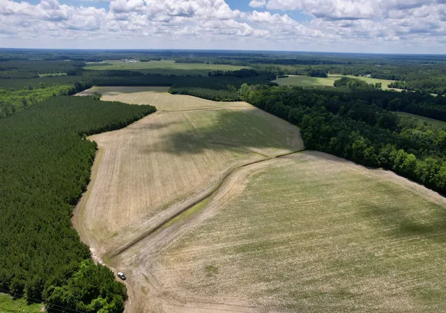 Homes for sale in Andrews, SC | 8303 Acres - Birch Creek Rd, Andrews, SC 29510 | MLS# 2616357
