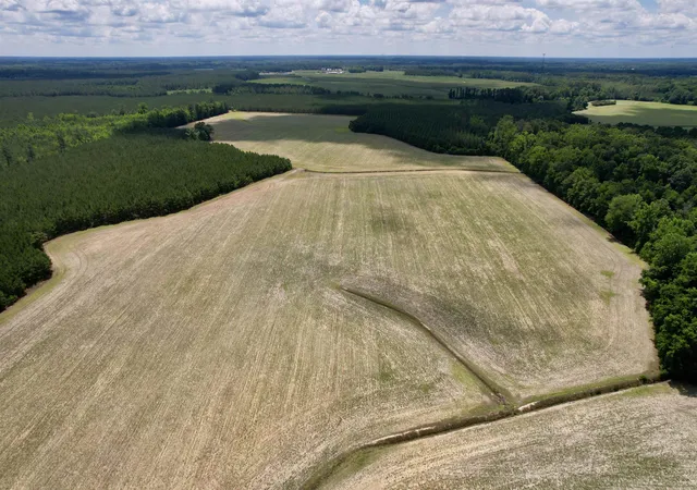 Homes for sale in Andrews, SC | 8303 Acres - Birch Creek Rd, Andrews, SC 29510 | MLS# 2616357