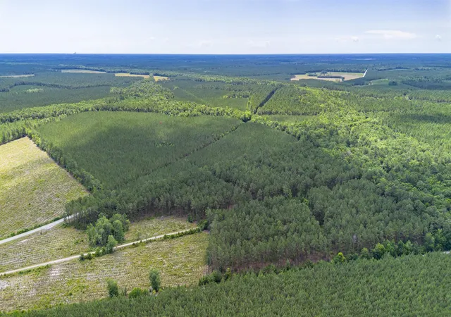 Homes for sale in Andrews, SC | Tract B Ten Acre Rd, Andrews, SC 29510 | MLS# 2616364