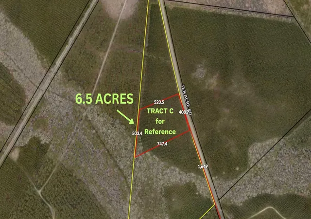 Homes for sale in Andrews, SC | Tract C Ten Acre Rd, Andrews, SC 29510 | MLS# 2616368