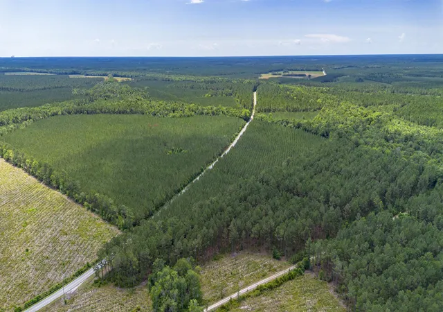 Homes for sale in Andrews, SC | Tract C Ten Acre Rd, Andrews, SC 29510 | MLS# 2616368
