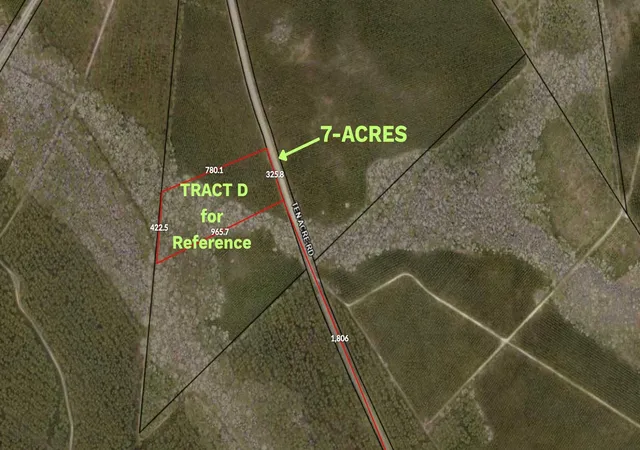 Homes for sale in Andrews, SC | Tract D Ten Acre Rd, Andrews, SC 29510 | MLS# 2616373